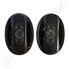 ROSE RS-6999 1000W COAXIAL 2ADET