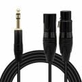 POWERMASTER LD390A CANON ERKEK DİŞİ + 6.3 MM STEREO ERKEK 3 METRE KABLO