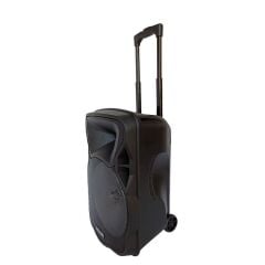 Rose RS-1235 Portatif Taşınabilir Ses Sistemi 150Watt El+Kafa Telsiz Mikrofonlu