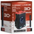 MV-6005 VHF EL MİK-USB/SD/BT30 WATT ISIKLI TASINABİLİR SARJLI  SEYYAR ANFİ MAGICVOICE