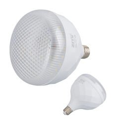 ZMR ZMR-113/B.65 50W KRİSTAL CAMLI TORCH T-BULB BEYAZ LED AMPUL E27 6500K (15X19MM)