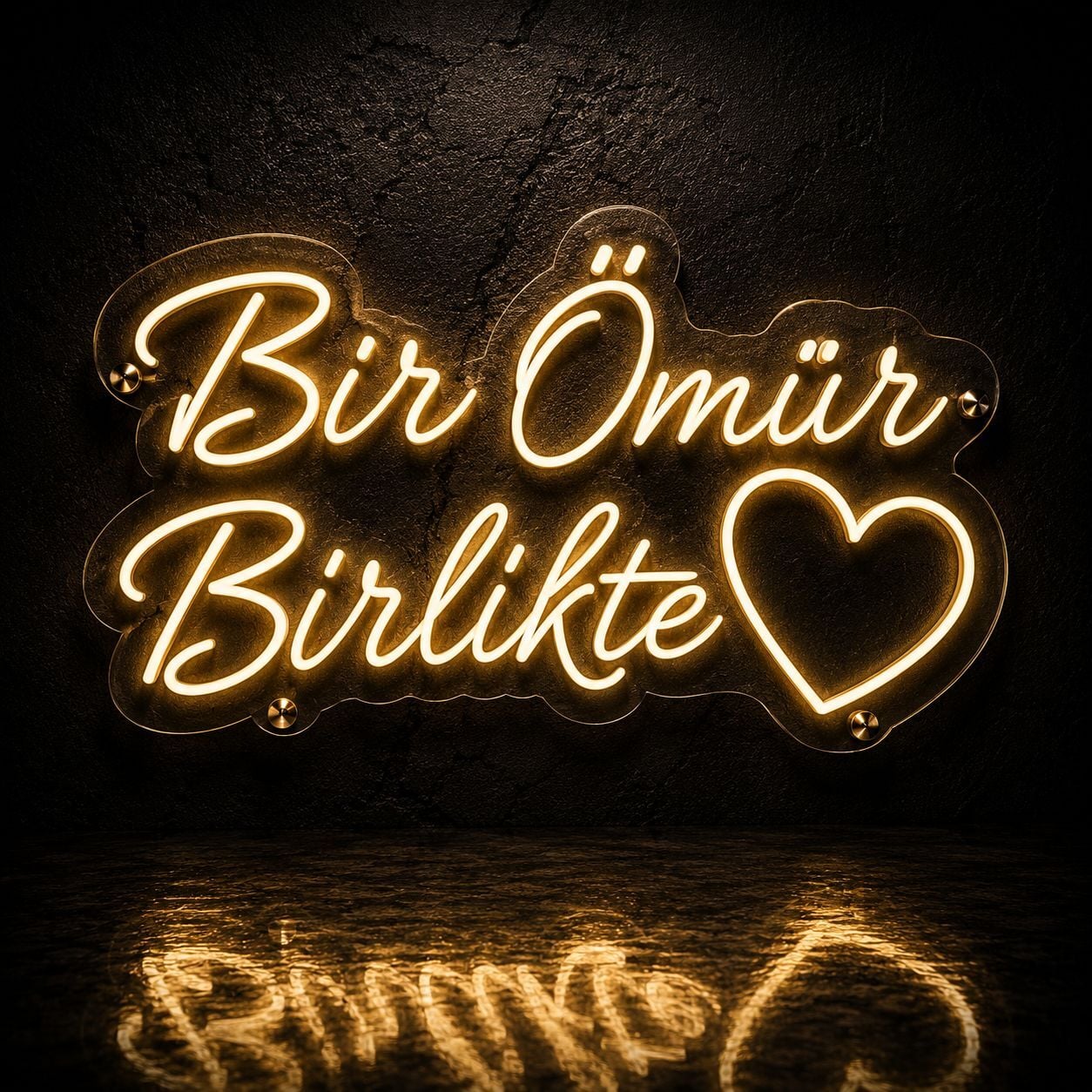 Bir Ömür Birlikte Neon LED Yazı 60x35 cm