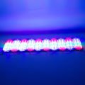 MODUL LED 12V 3.6W RGB FLASLI YANIP SONEN 2835 POWERMASTER