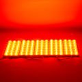MODUL LED 12V 6W KIRMIZI 13660-3030 POWERMASTER