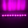 PEMBE MODUL LED 48*30 2835 24 VOLT 1.4 WATT POWERMASTER